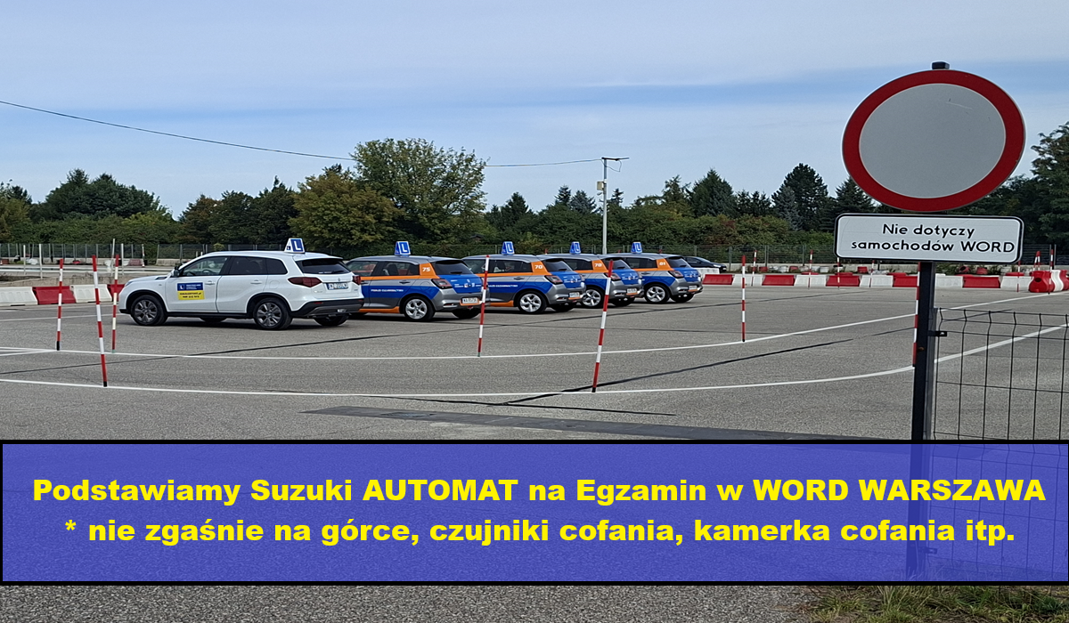 suzuki strona 7